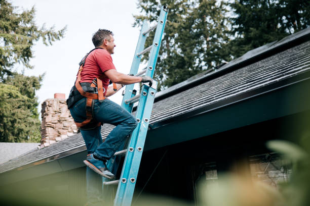 Best Roof Maintenance and Cleaning  in Tallahassee, FL