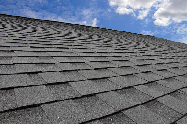 Best Roof Moss and Algae Removal  in Tallahassee, FL